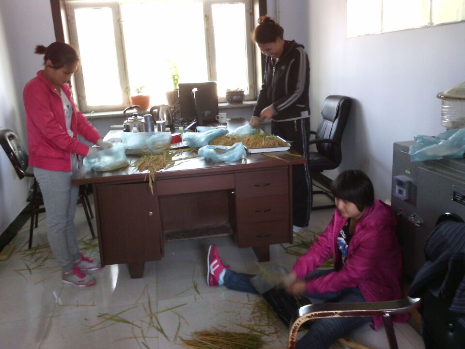 點(diǎn)擊瀏覽下一頁(yè)